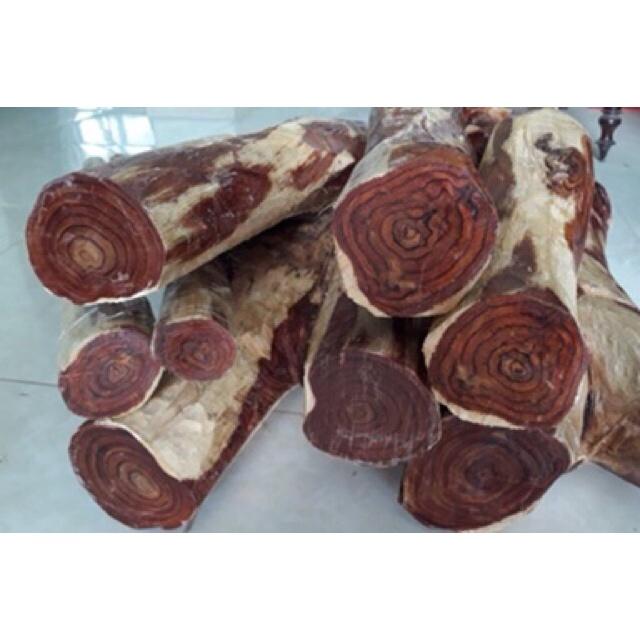 CÂY GIỐNG GỖ SƯA ĐỎ