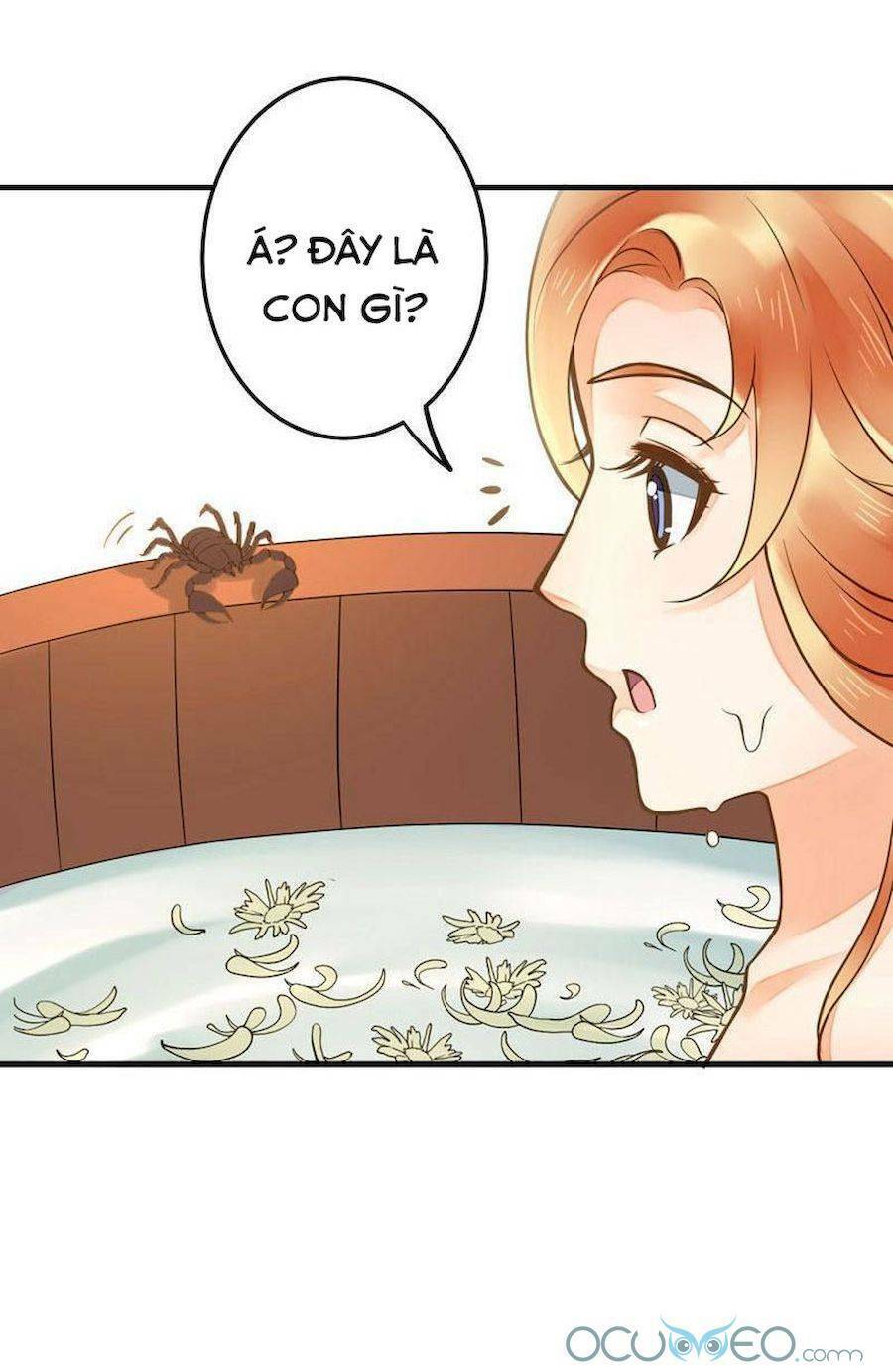 quý phi này có chút cơ chapter 20 45