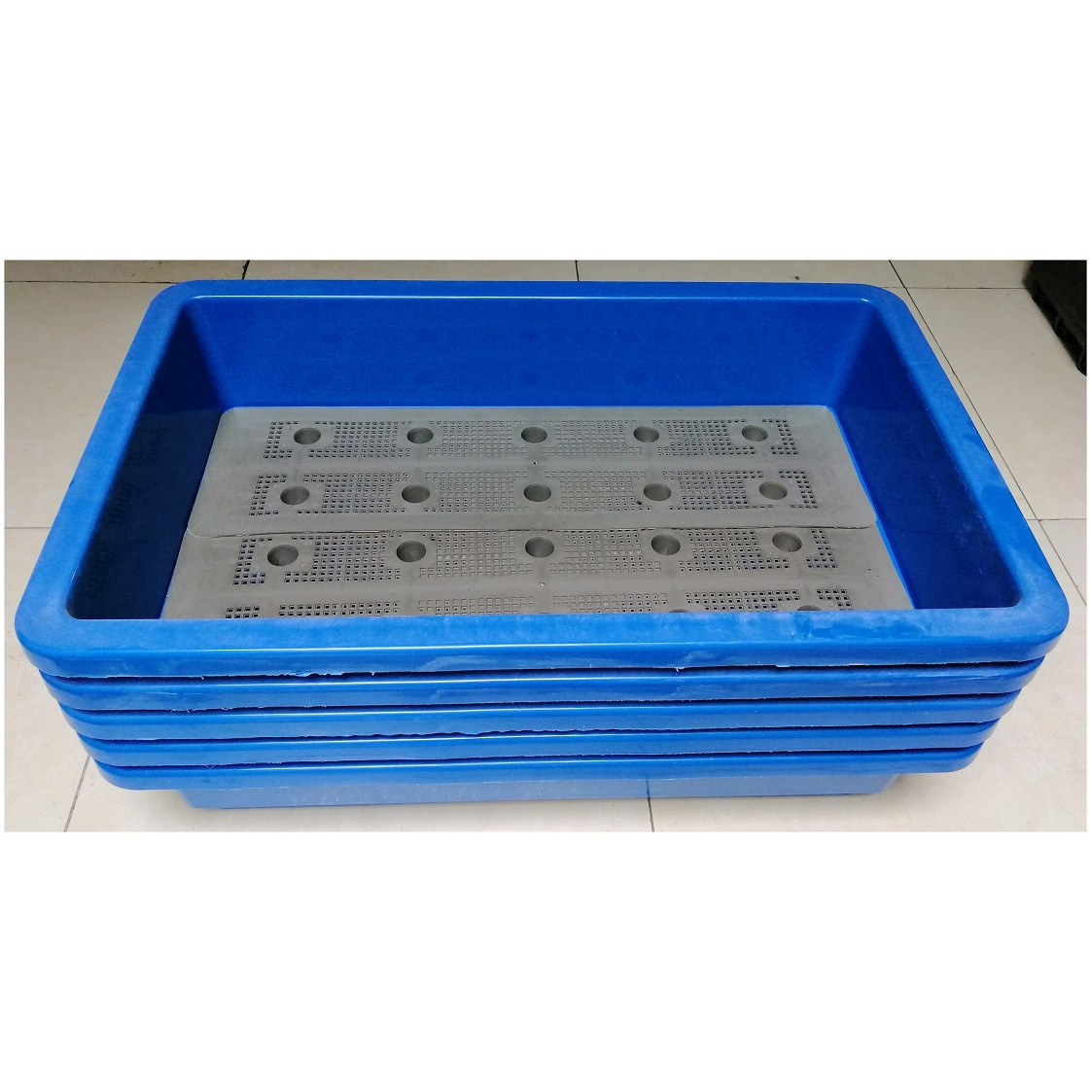 5 KHAY NHỰA TRỒNG RAU KÍCH THƯỚC 68X42X15CM - MÀU XANH