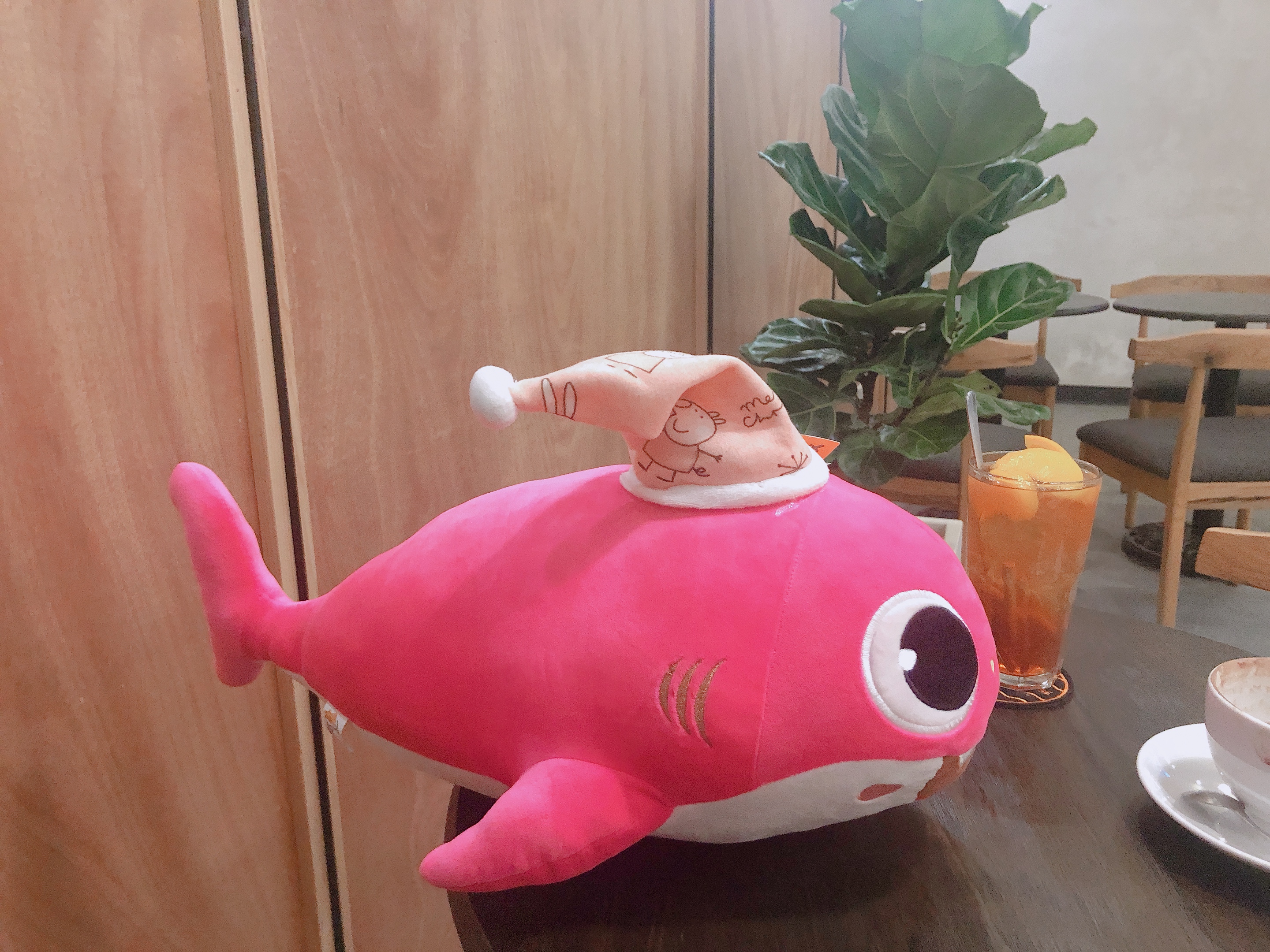 Gấu bông cá mập Baby Shark hồng đội mũ