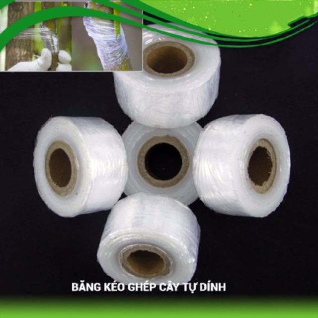 Cuộn Giấy Ghép Tự Huỷ 3cm - chuyên dùng chiết ghép cây