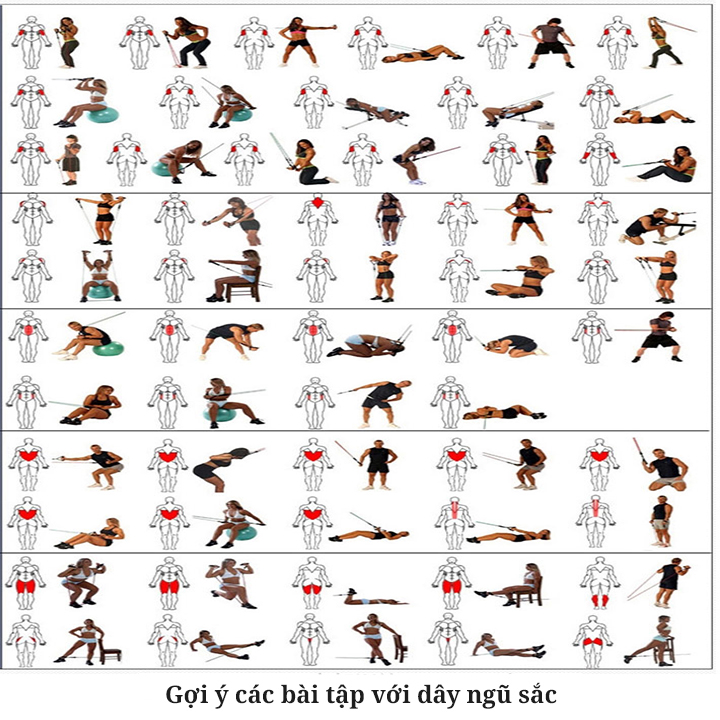 Combo 2 dụng cụ tập Gym : 1 xà đơn gắn tường + 1 bộ 5 dây ngũ sắc - Có độ dài tuỳ chỉnh chốt khoá an toàn chất liệu thép chịu lực tốt hỗ trợ tập Gym cơ bắp săn chắc , chịu lực tốt