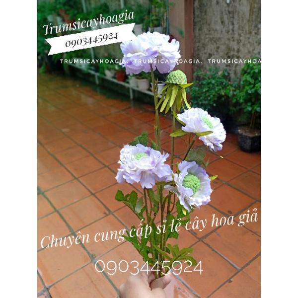 Cành cúc quả thông cao 60cm trang trí độc lạ nhập khẩu-Hoa cao cấp
