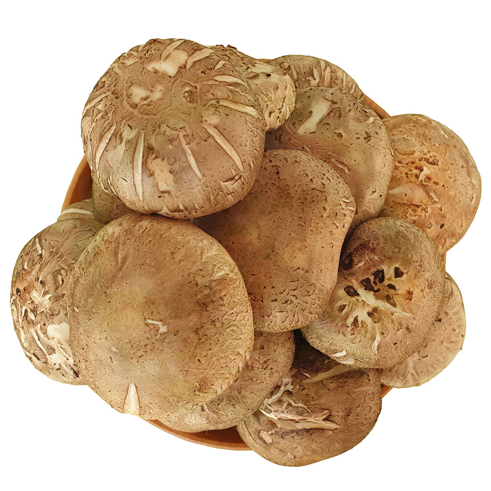 Nấm Hương Tươi 1kg - Nông Trại Nấm Xanh
