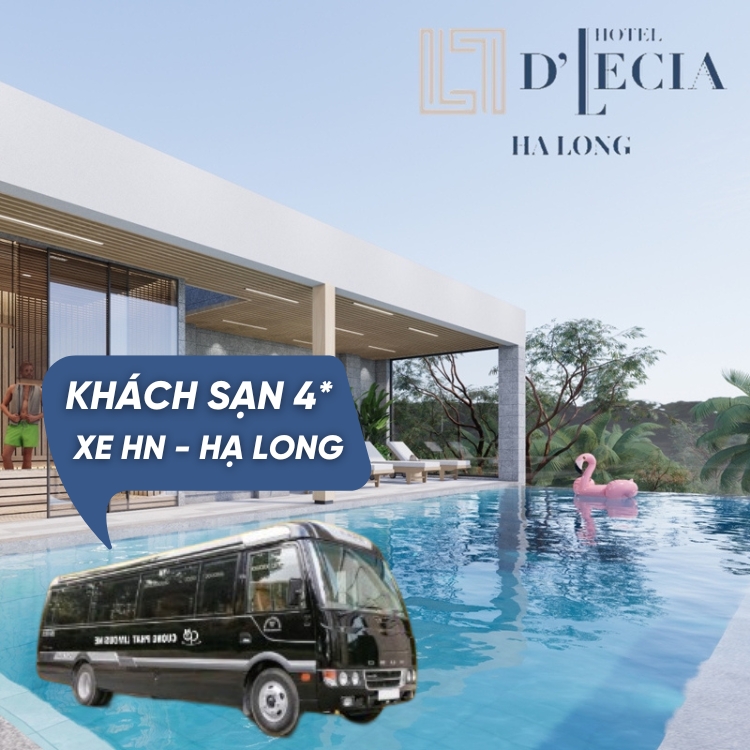 Combo 3N2Đ Từ Hà Nội, Khách Sạn D'Lecia 4* Bãi Cháy, Xe Đưa Đón Khứ Hồi Dành Cho 01 Người