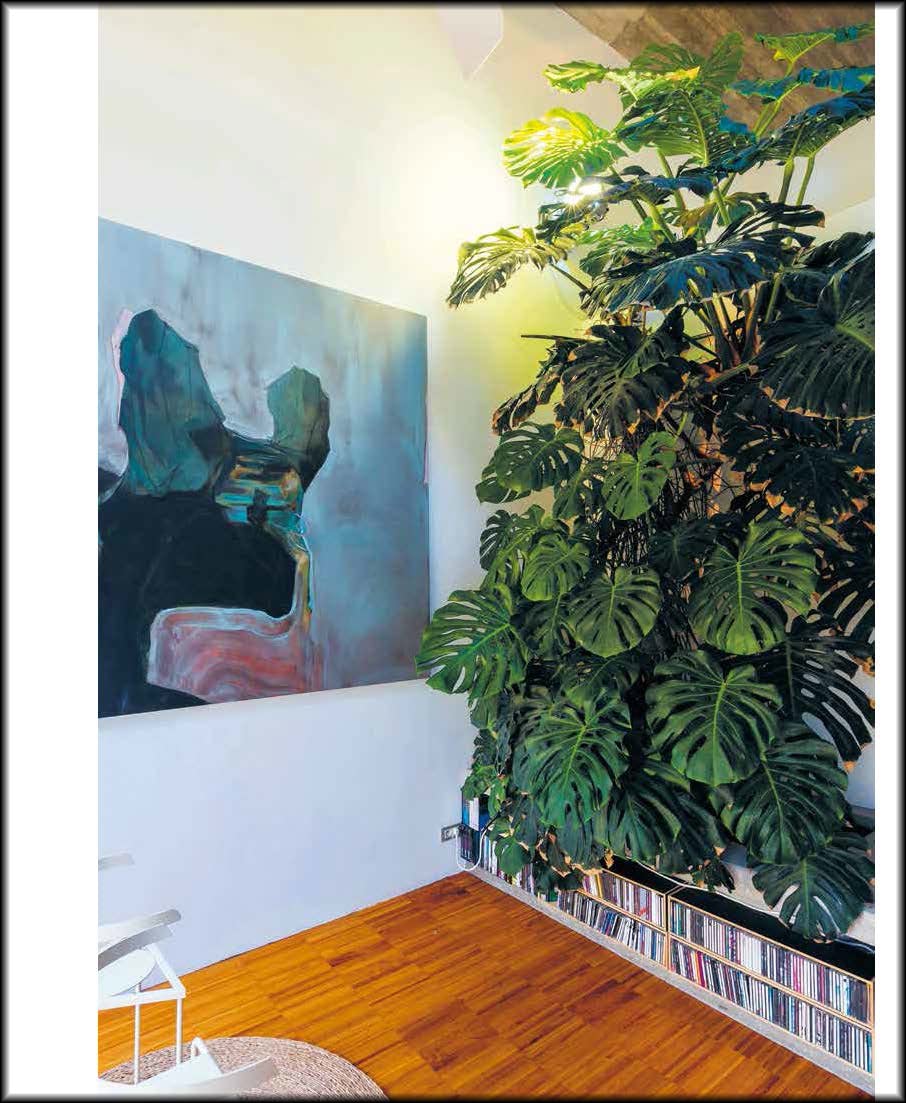 Ultimate Wonder Plants : Your Urban Jungle Interior