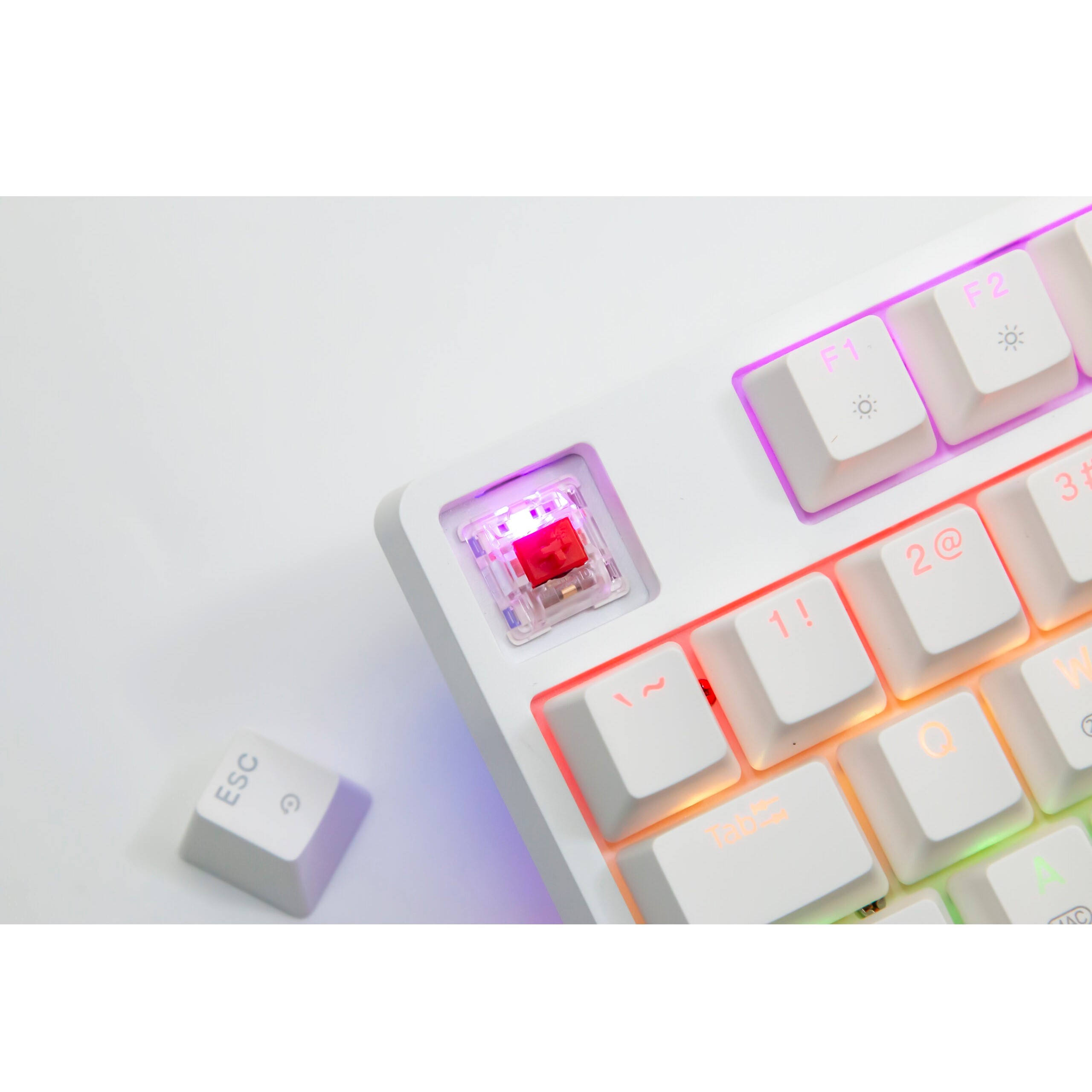 Bàn phím cơ gaming Fuhlen D87s RGB type-C Switch Blue/ Red/ Brown- Hàng chính hãng