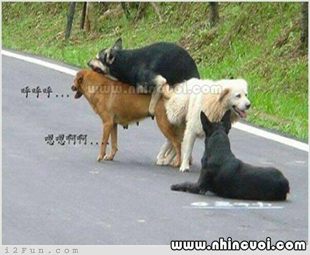 hình ảnh hài hước new chapter 8 15