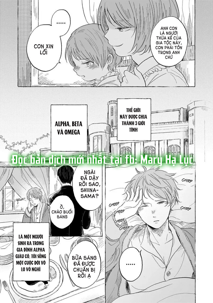 neko mimi omegaverse chapter 6.1 5