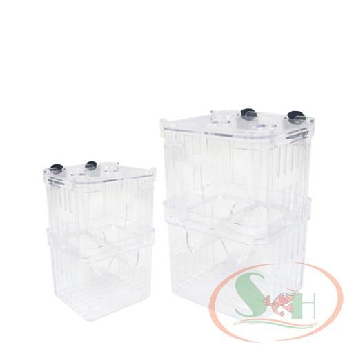 Lồng Dưỡng Cá Tép Mica DIY Hít Thành Hồ Tách Dưỡng Cây, Cá Đẻ