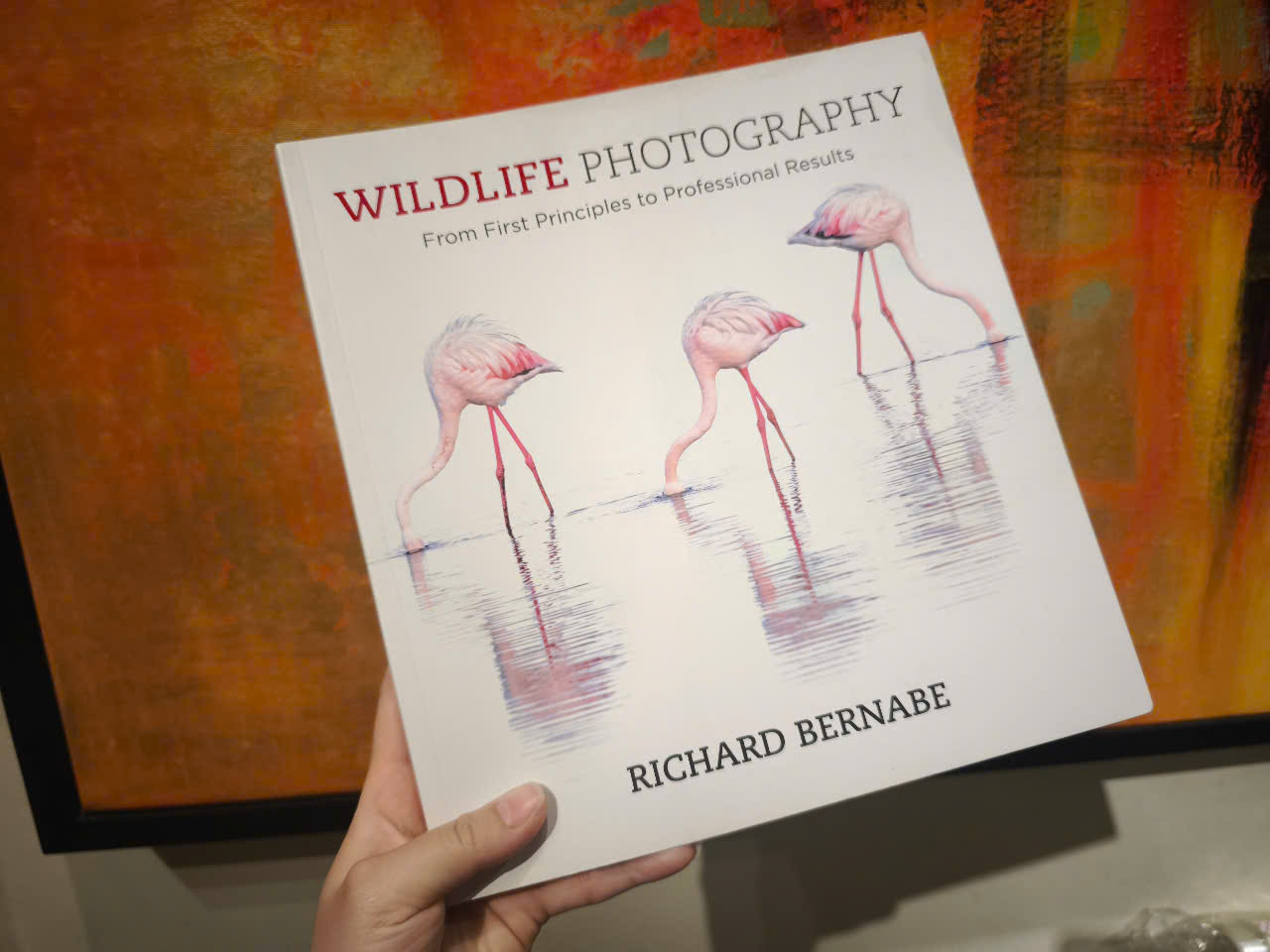 Sách - Wildlife Photography by Richard Bernabe - From First Principles To Professional Results