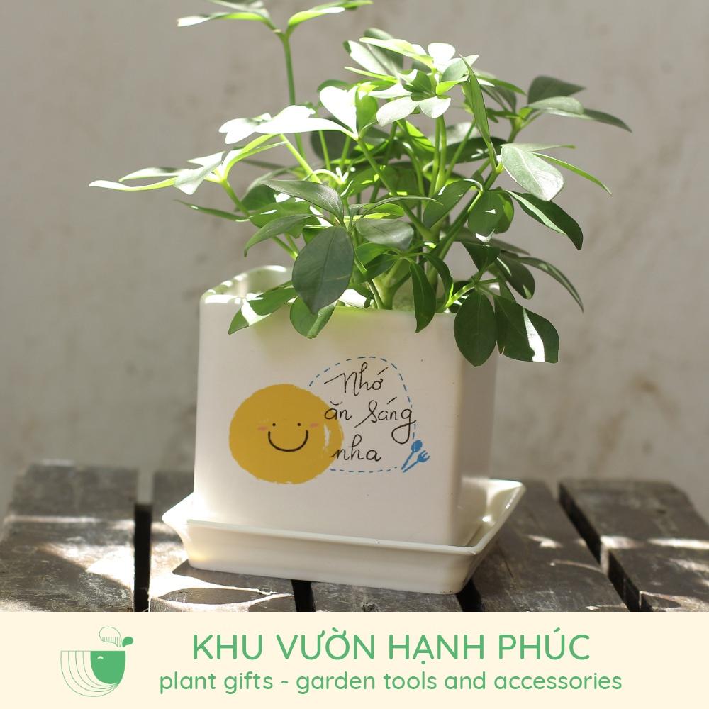 Chậu in hình - Những lời nhắn nhủ dễ thương - Size 7-8cm, quà tặng, trang trí, văn phòng,...