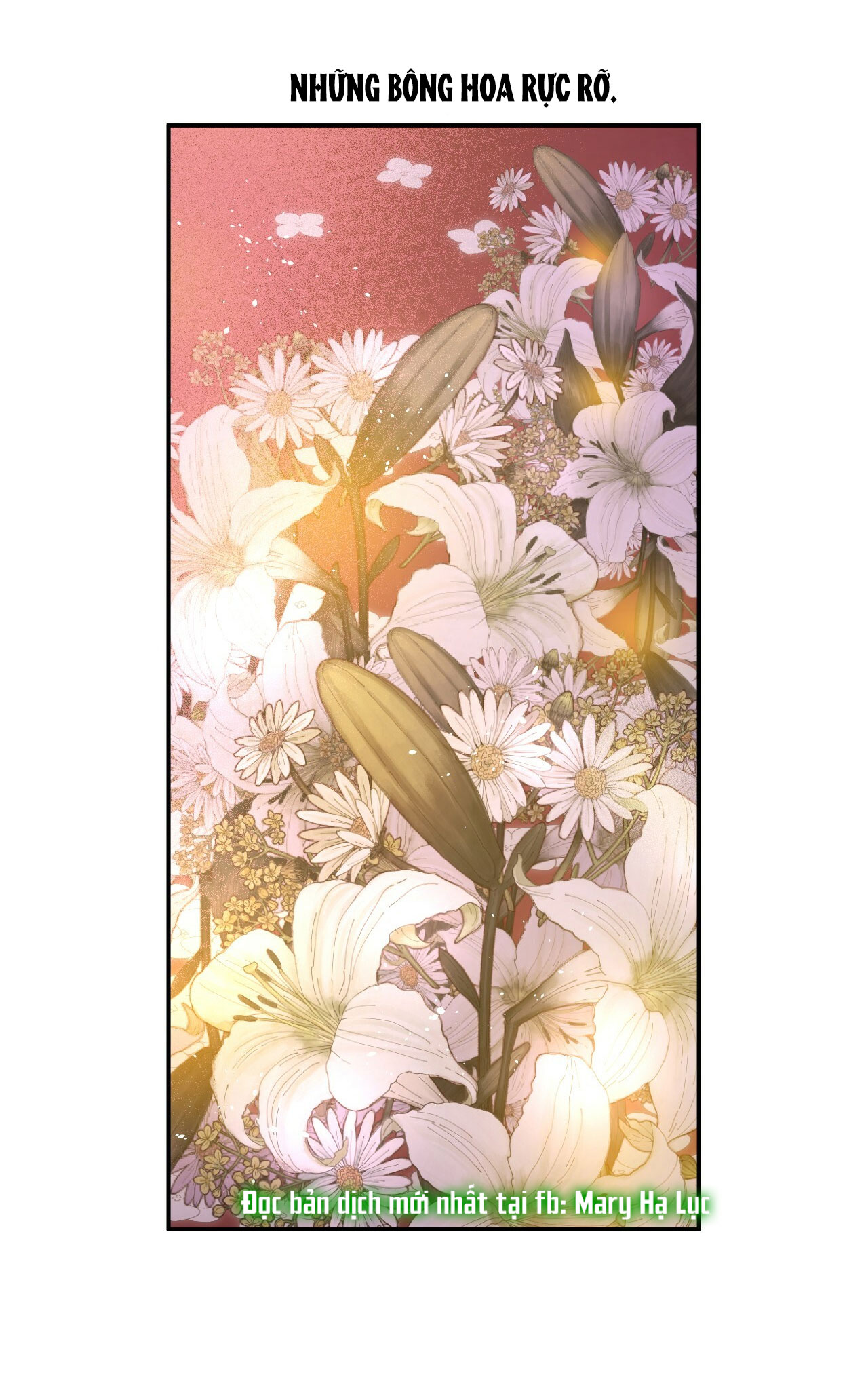 bỗng một ngày nọ tôi trở thành nàng công chúa chapter 119 3