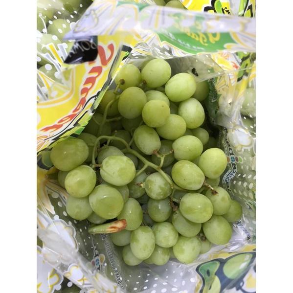 Nho xanh Autump Cô Gái Mỹ giòn ngọt
