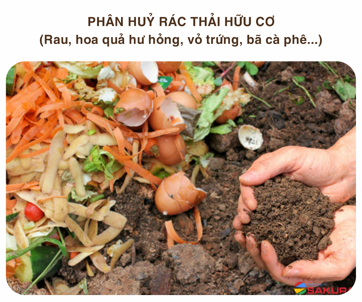 Trùn Hổ (giun đất) giống thuần chủng.Tặng kèm 1Kg hỗn hợp chất nền.Xử lý rác thải hữu cơ - Làm mồi câu cá - Làm thức ăn vật nuôi