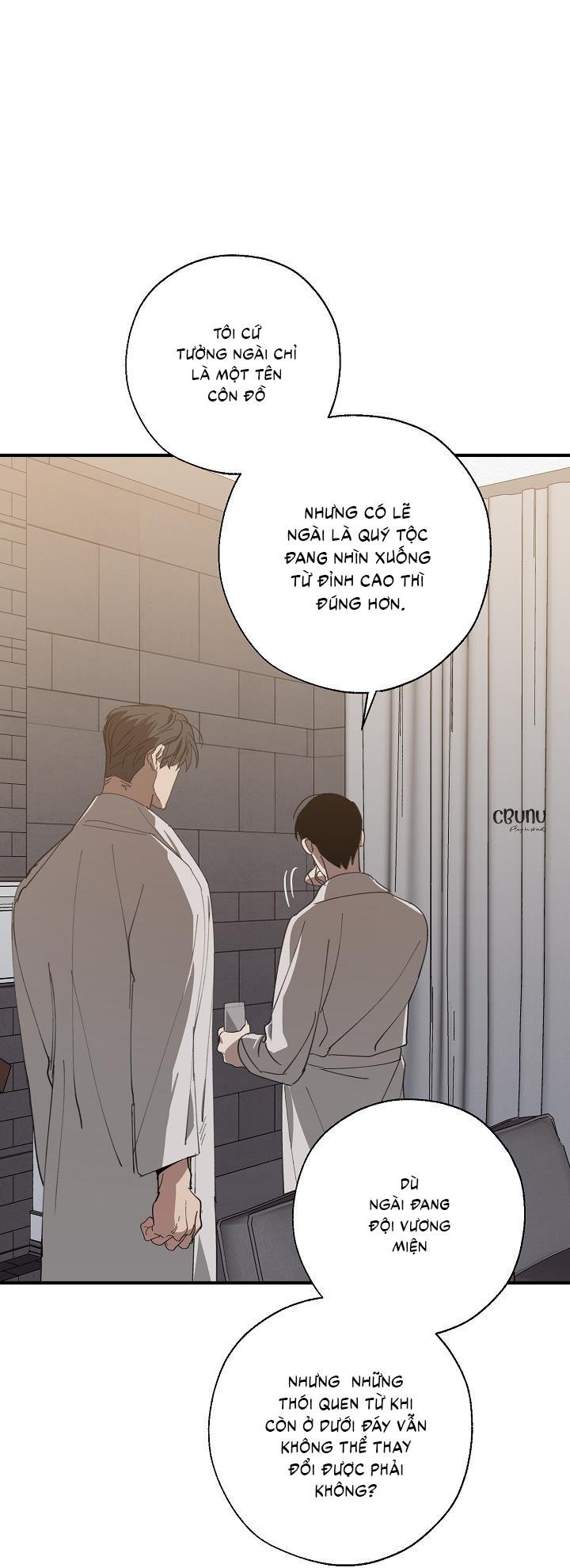 (cbunu) tráo đổi chapter 63 52