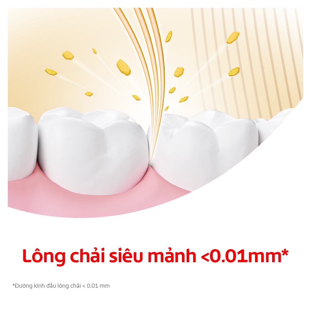 Bộ 8 Bàn chải Colgate Slimsoft Charcoal Gold kháng khuẩn than vàng