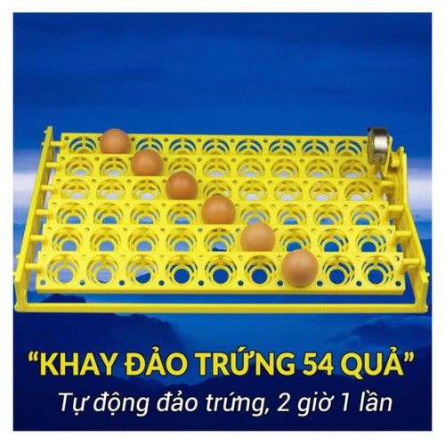 Máy ấp trứng P100+khay đảo 54 quả- đảo tự động