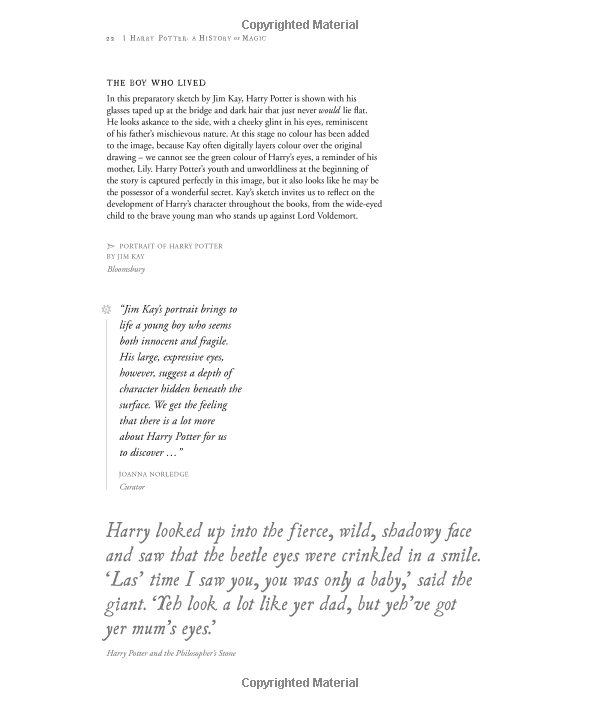 Sách Harry Potter: A History Of Magic (Hardback) Lịch sử ma thuật (English Book)