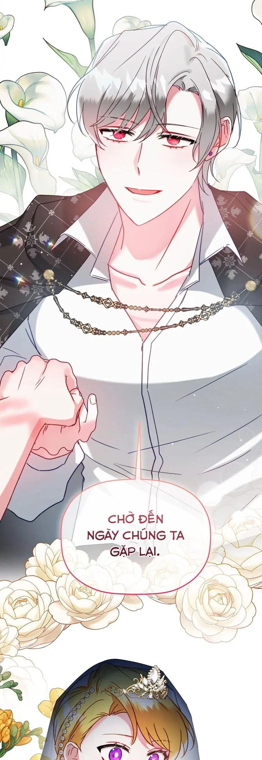 hoàng tử chuyển sinh trở thành người mạnh nhất thế giới nhờ vào sự hiểu biết về bug chapter 54 39