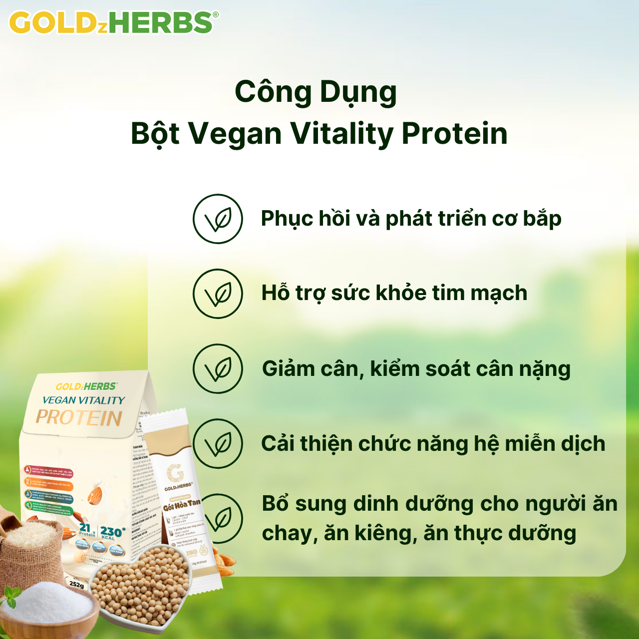 Bột Protein Vegan ViTality GoldzHerbs – 14 gói/ 500g
