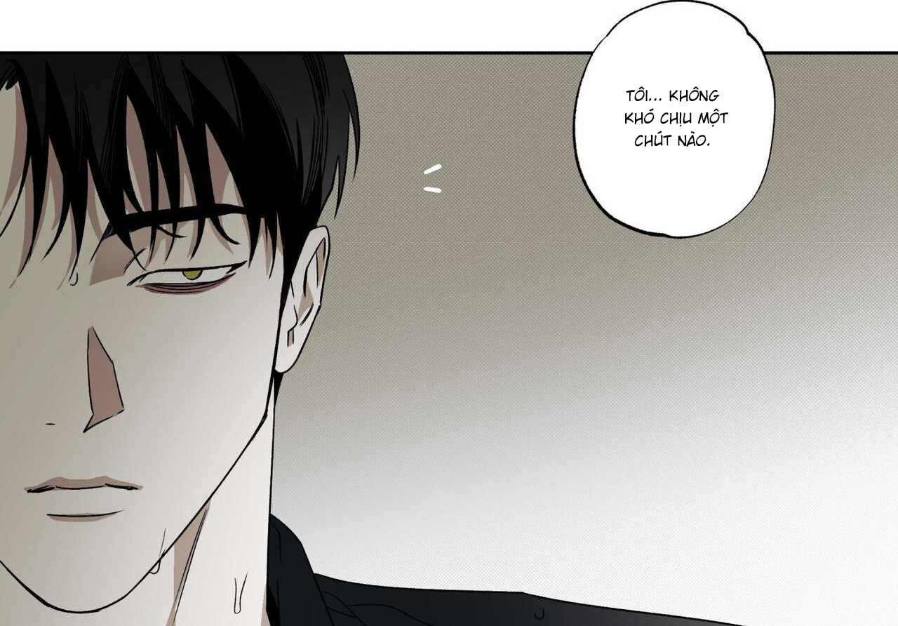 chàng giao pizza và gold palace chapter 45 10