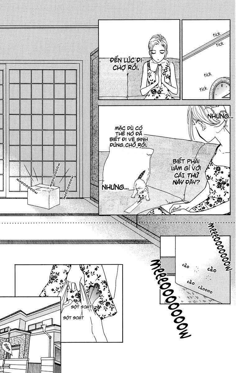 cuộc sống thường nhật của mèo zaccho chapter 1.5 23