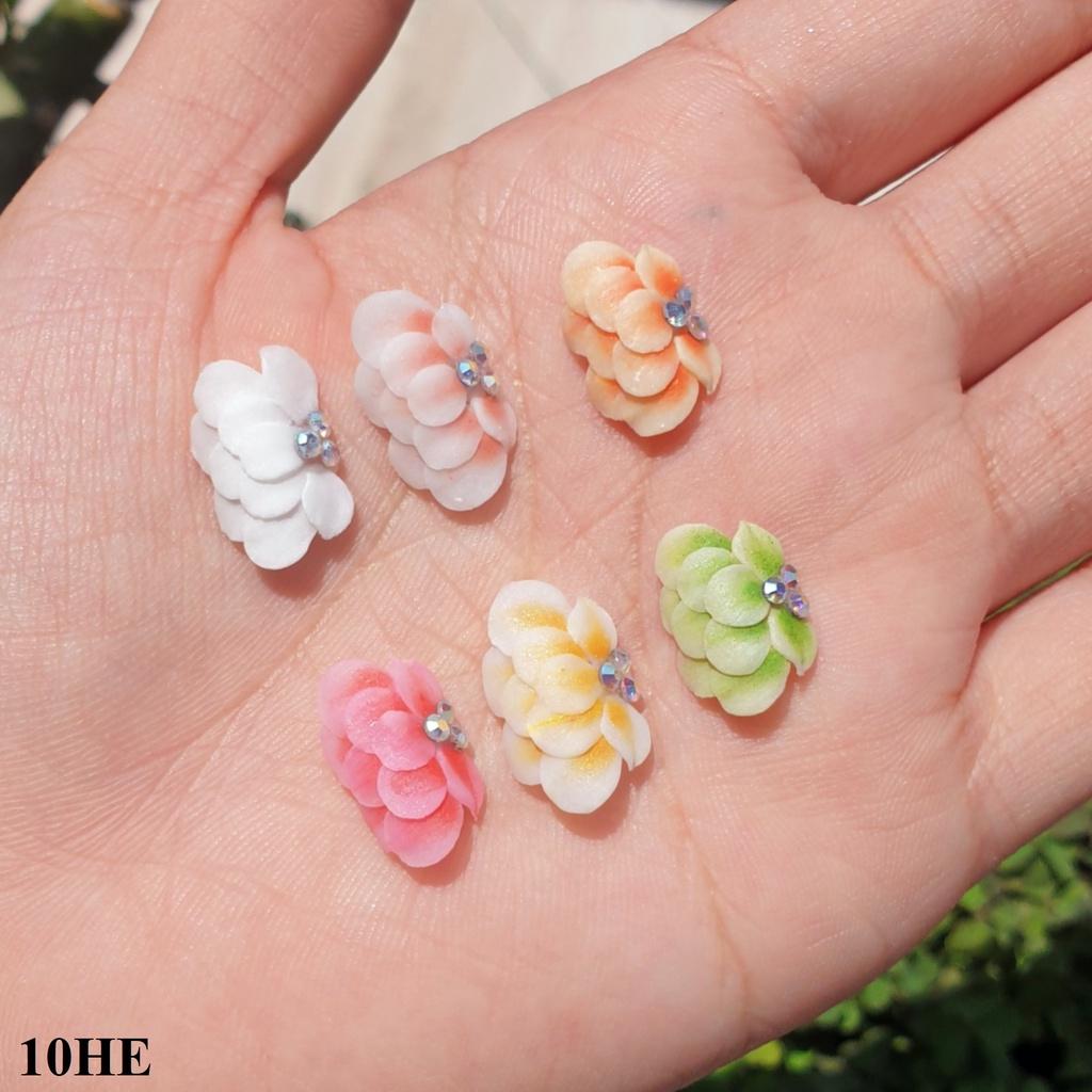 Hoa Bột Nổi | Hoa Cúc Tầng 10HE