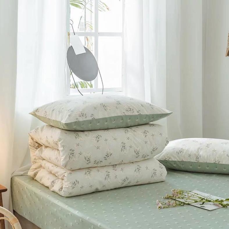 Bộ chăn ga gối Cotton Living 100% đủ size giường nệm 1m2 đến 2m*2m2