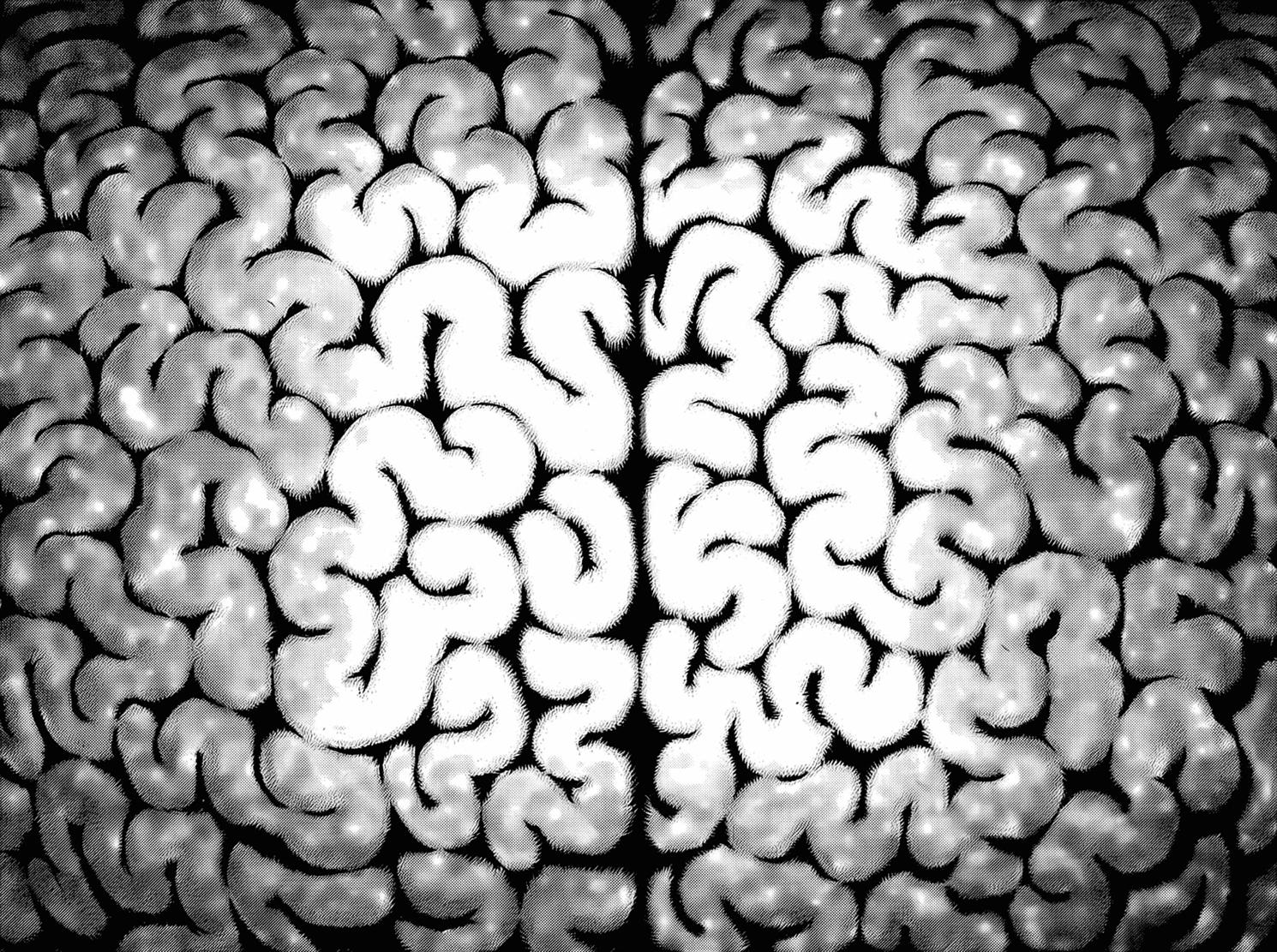 kiếm sĩ đen chapter 311 12