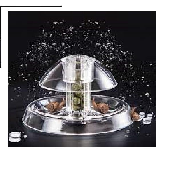 Bẫy ốc hại acrylic cho bể thủy sinh Snail Trap