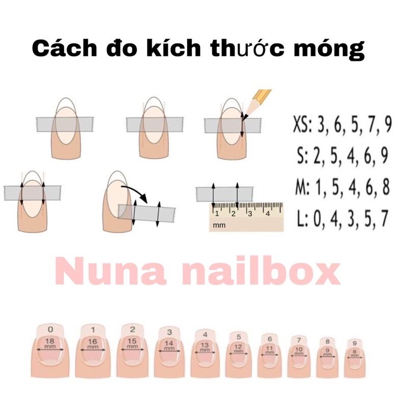 M06 -cci 32 Nailbox móng úp đính nơ vẽ viền nude tiểu thư