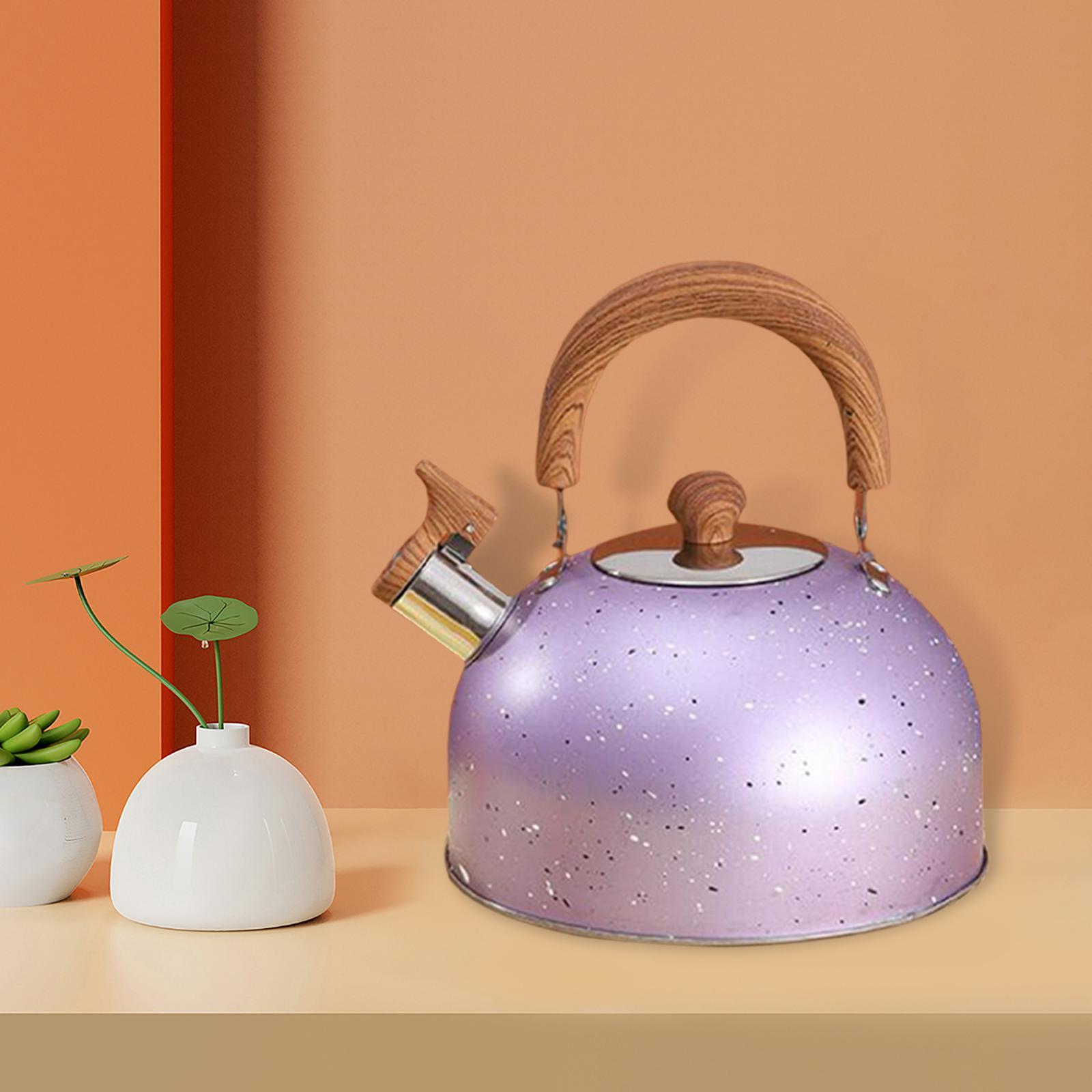 3L Tea Kettle Stovetop Whistling Stainless Steel Green