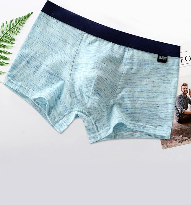 Hộp 4 quần lót nam boxer cotton cao cấp