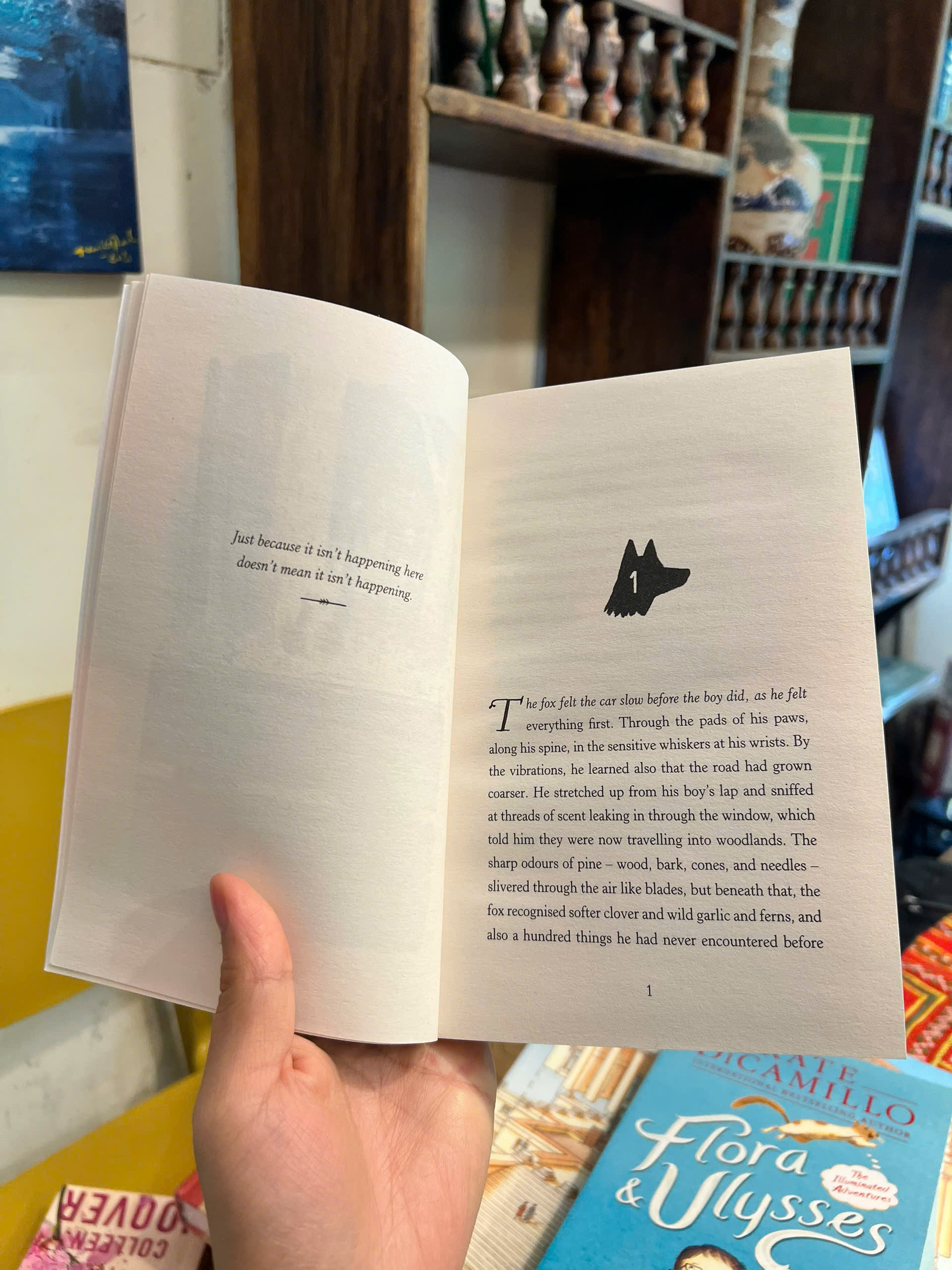 Sách - Pax by Sara Pennypacker | Fiction / Young Adult / Novel / Ngoại văn Nhập khẩu UK