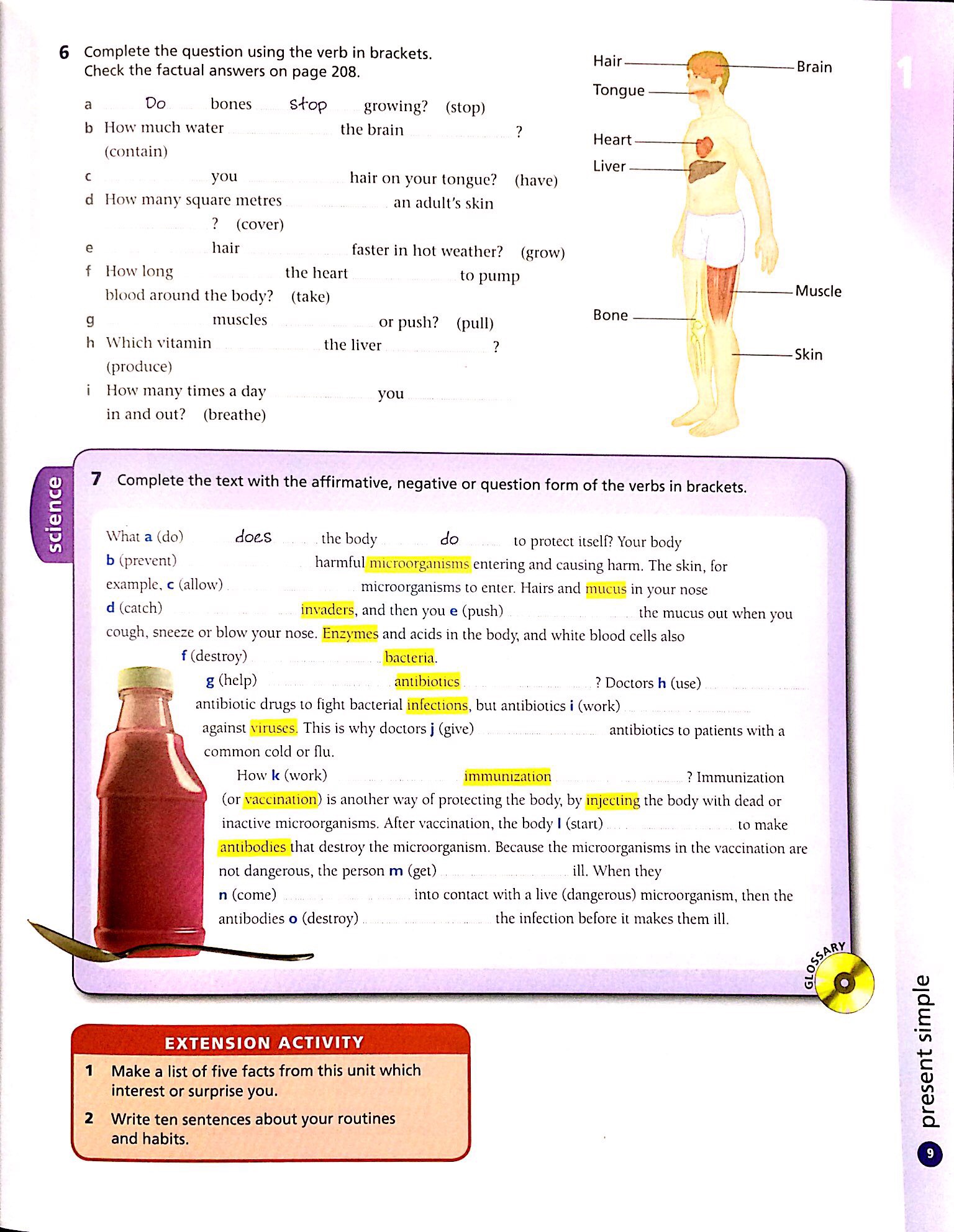 MML English Grammar in Context - Int W/key