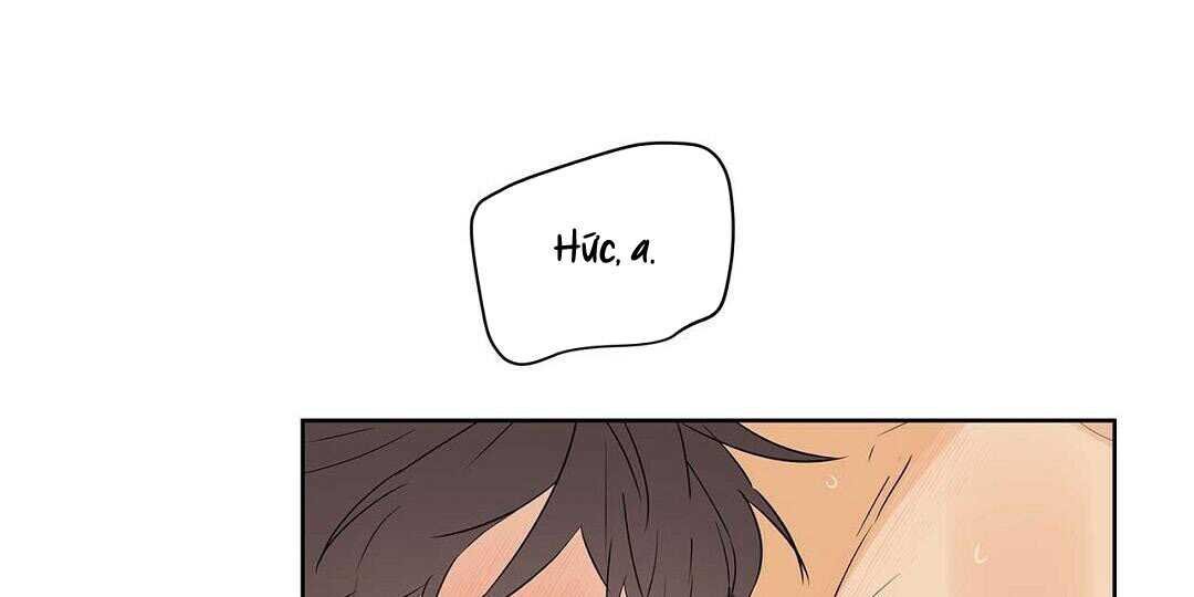 guide cấp b chapter 38 34