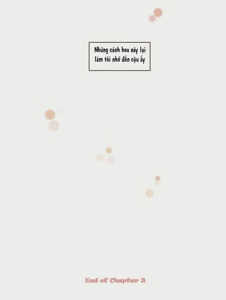 my shining world chapter 3 26