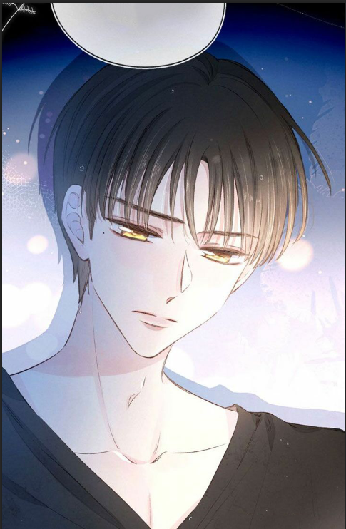 nỗi buồn của hoa cẩm tú cầu chapter 21 28