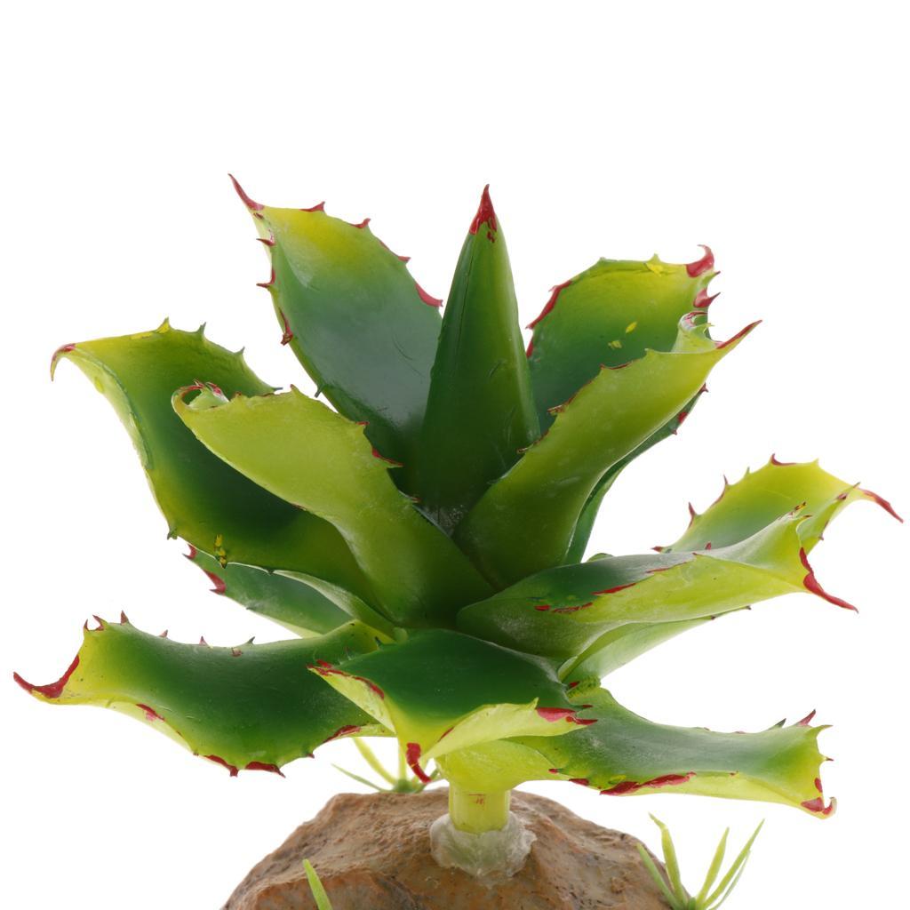 2 Piece Succulent Plant with Resin Base Reptile Terrarium Vivarium Ornament