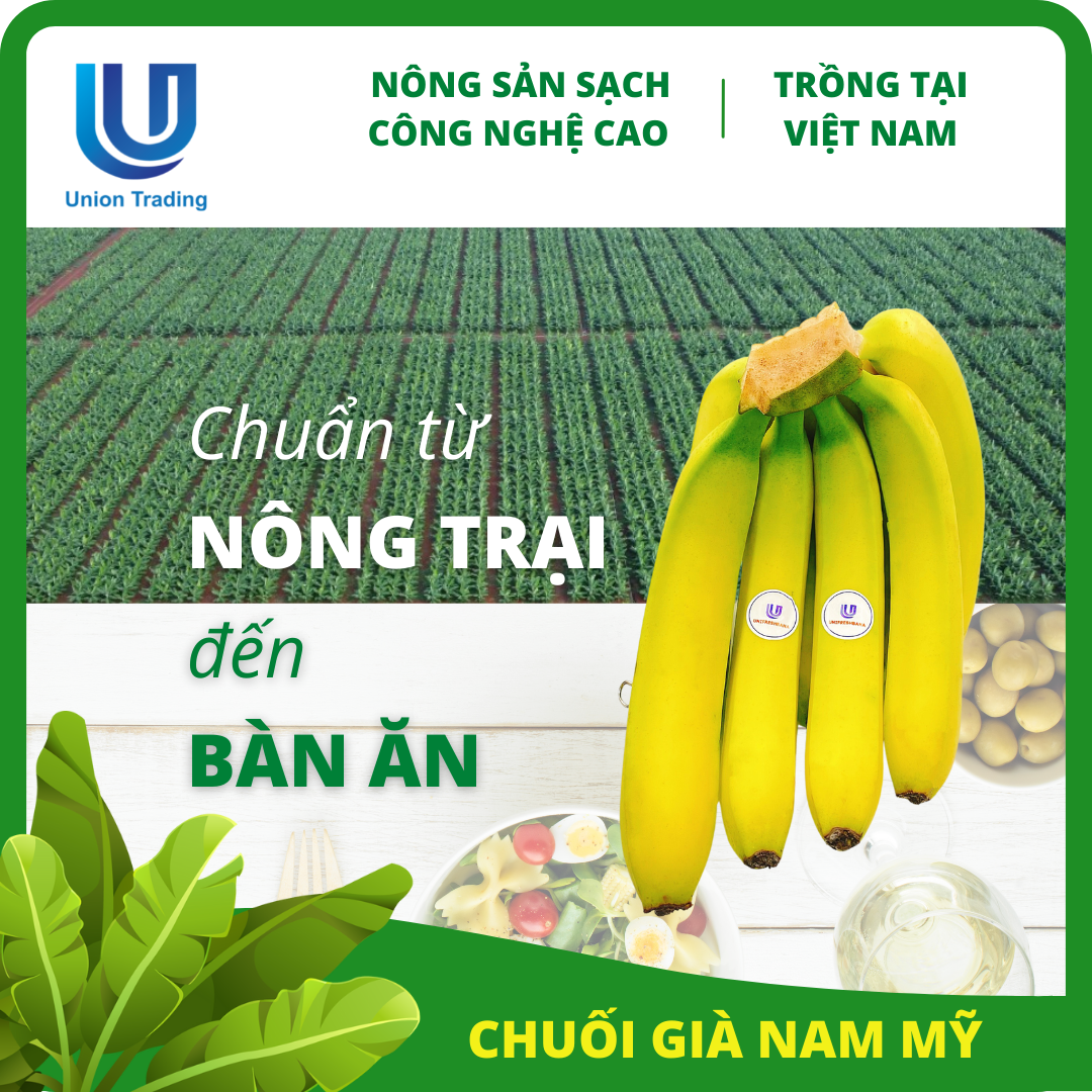 Hình ảnh Chuối Tươi Union Trading - Nải 1Kg - Thơm Dẻo, Giàu Dinh Dưỡng - Trồng Công Nghệ Cao Tại Việt Nam