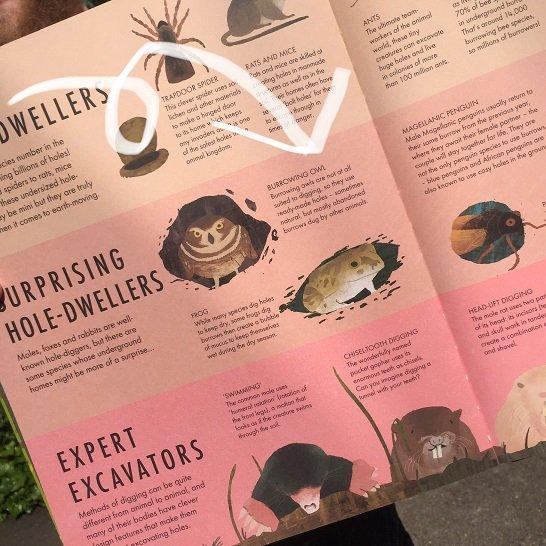 Holes : Discover a Hidden World