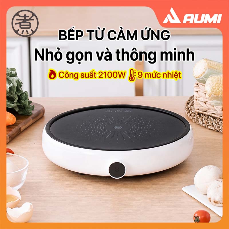 Bếp Cảm Ứng Từ ZHIWUZHU ZCL010-1A Bản Quốc Tế Có 9 Mức Nhiệt Điều Chỉnh Bằng Núm Xoay Cơ