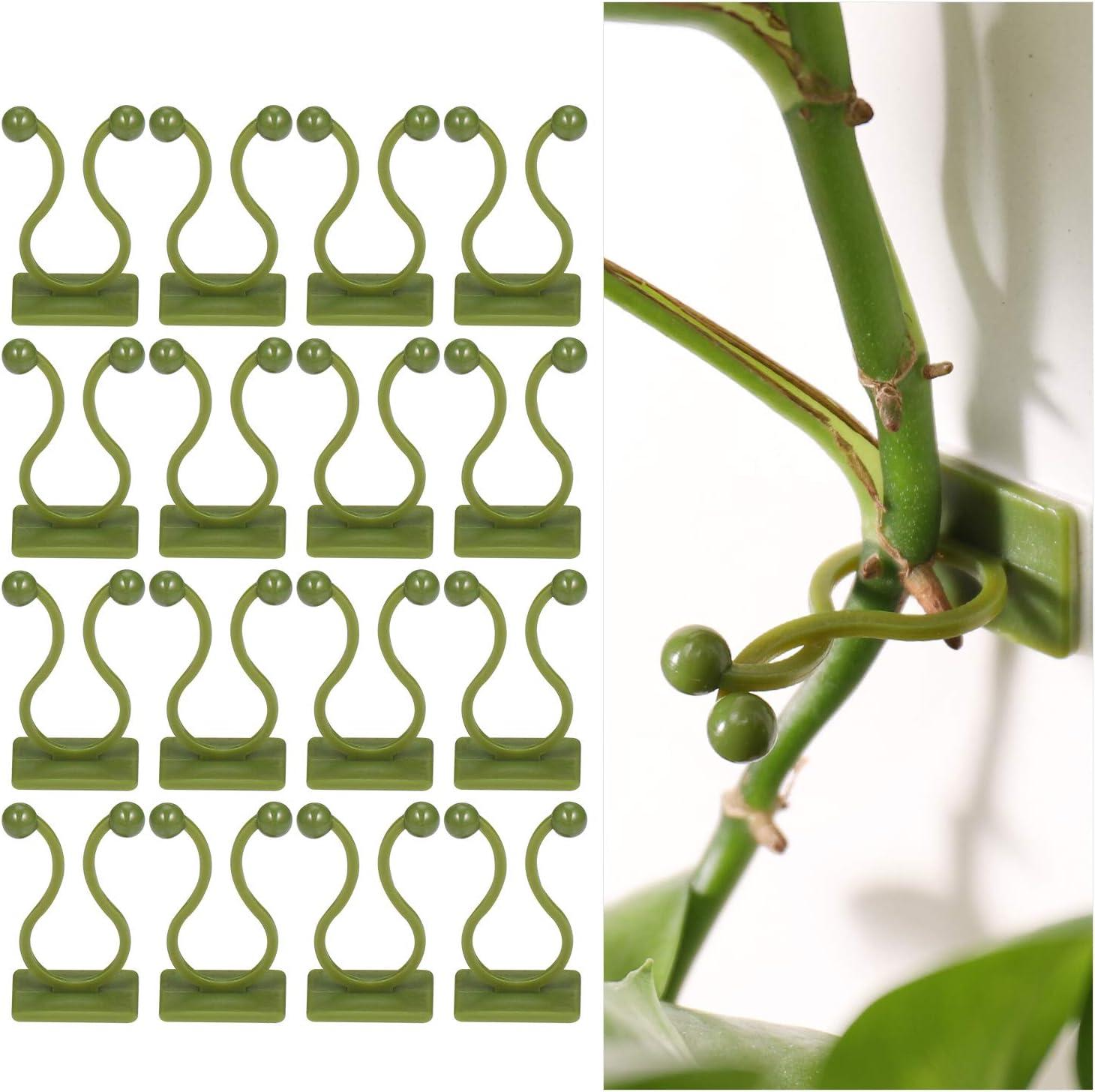 50 Cái Kẹp hỗ trợ cây leo, Kẹp cây tự dính, Kẹp treo tường Green Vine, Cố định tường, Móc treo hỗ trợ cây, Kẹp cọc, Trang trí tường cây