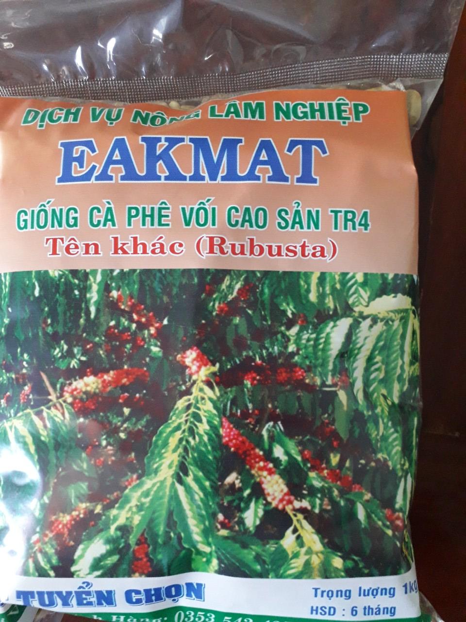 1 KG HẠT GIỐNG CÀ PHÊ VỐI CAO SẢN TR4 .