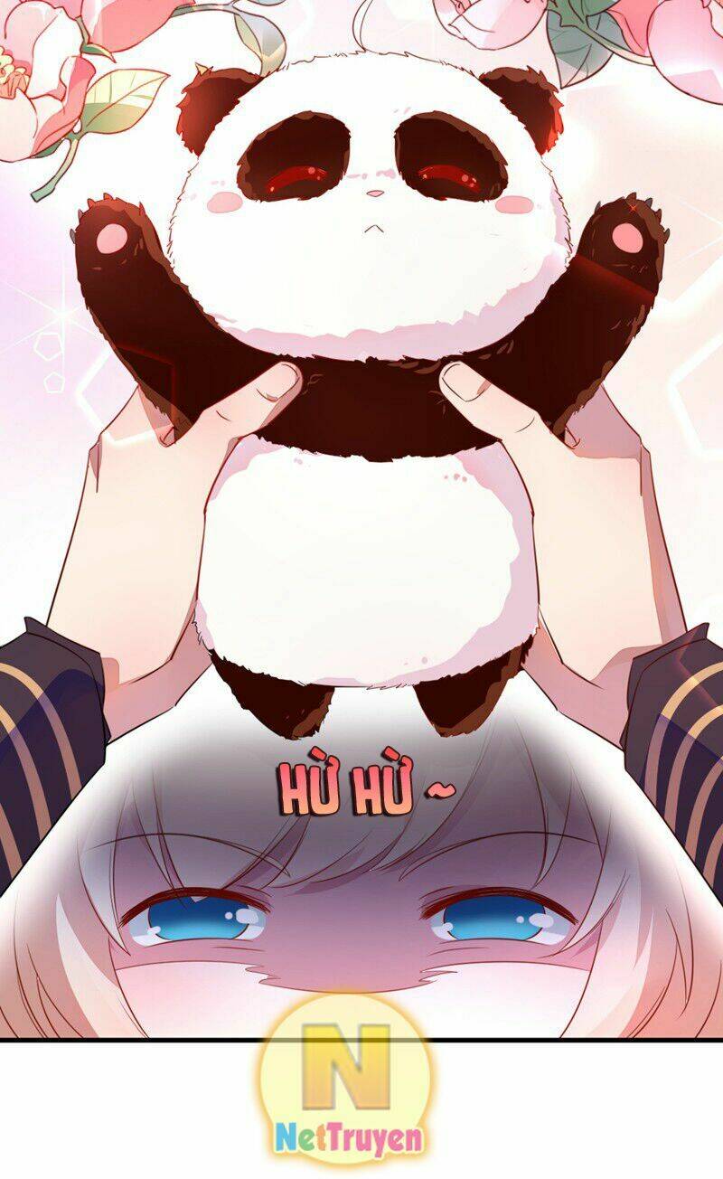 thiên thần gấu trúc muốn được ôm chapter 6 18