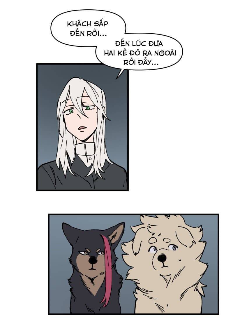 lumine - cội nguồn ánh sáng chapter 149 11