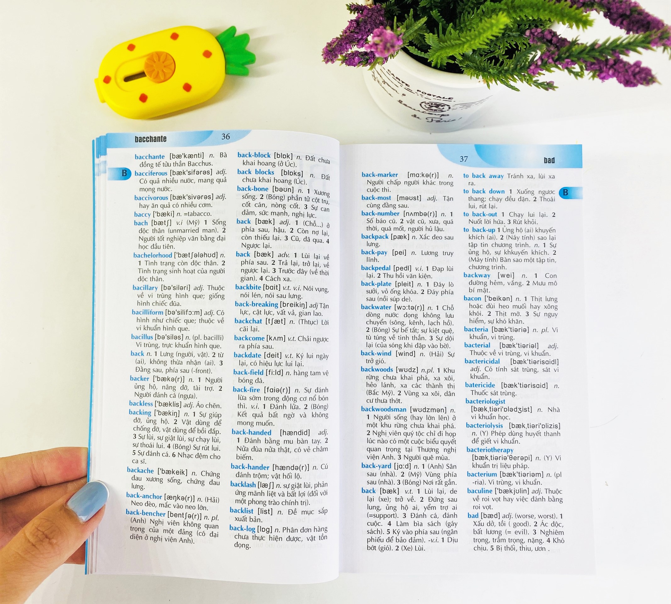 Sách - Từ điển Anh - Việt 90.000 từ - ndbooks