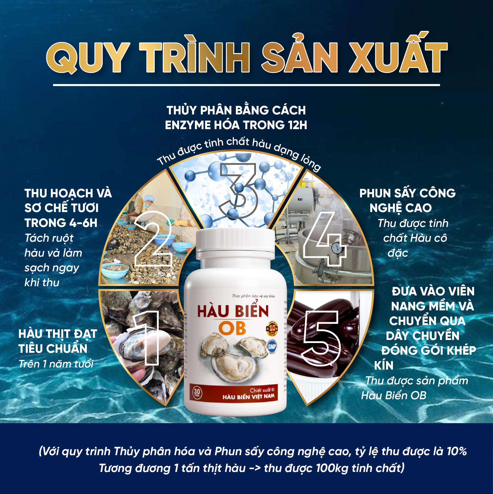Thực phẩm bảo vệ sức khỏe Hàu Biển OB - Tăng sinh chất lượng tinh trùng, Tăng cường sinh lý nam, hỗ trợ trị xuất tinh sớm
