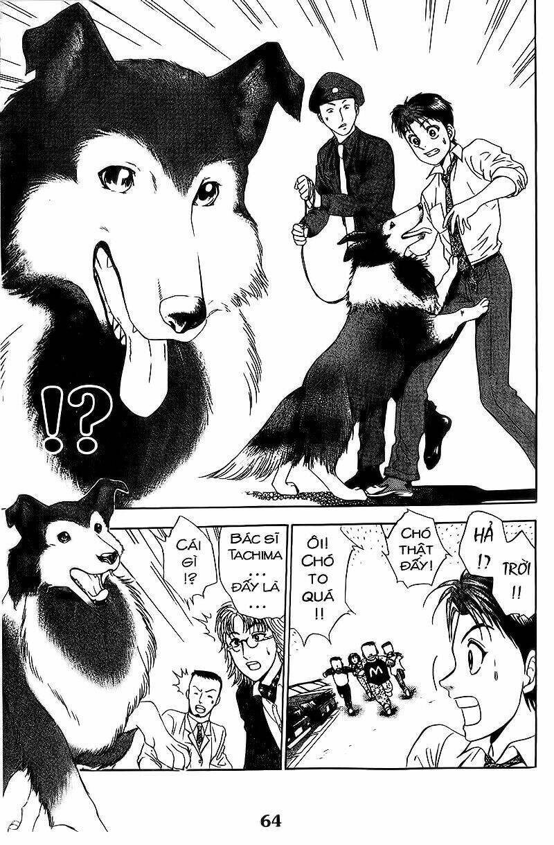 bàn tay thần sầu teru chapter 104 16